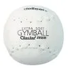 Rawlings DeBeer 16" Clincher Softie XF16 Gymballs, Dz