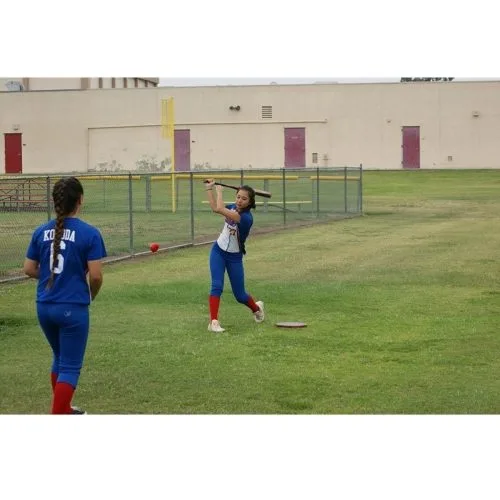 POWERNET Heavy Weighted Training Balls, 2.8" (6 Pk) -Baseball Shop a32 812 2