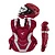 Easton Elite X Adult Catchers Gear Set 3 Easton Elite X Adult Catchers Gear Set - Image 3